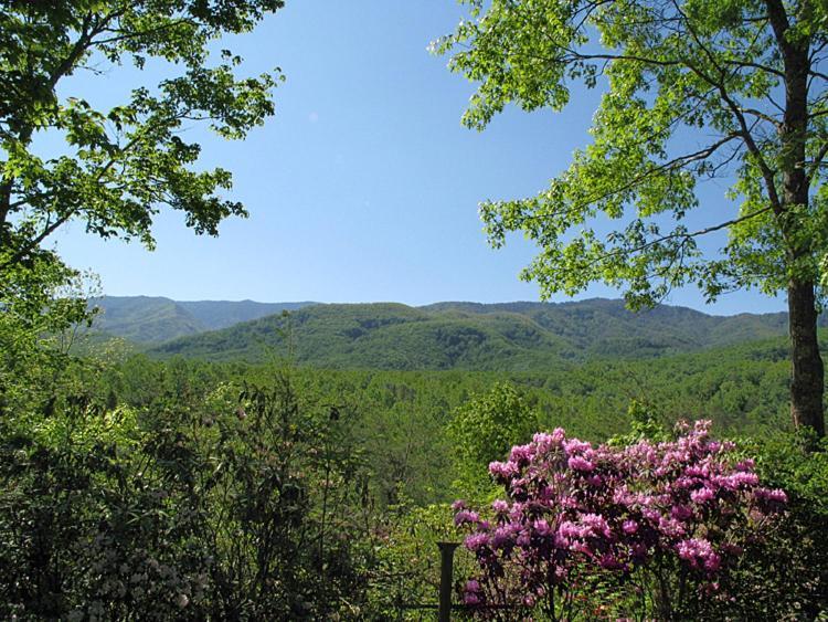 Seneca Gatlinburg Exterior foto